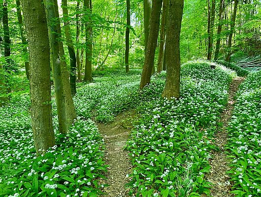 Frühlingserwachen - Bildungsurlaub in SA, B & NRW - Mit Präventionszuschuss! Frühlingserwachen - Bildungsurlaub in SA, B & NRW - Mit Präventionszuschuss!